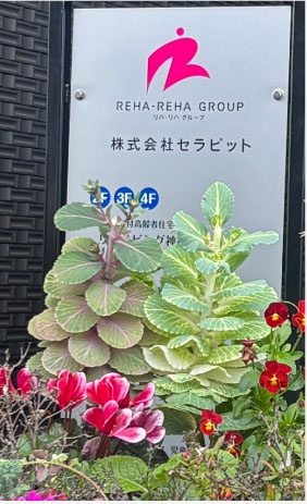 株式会社セラピット