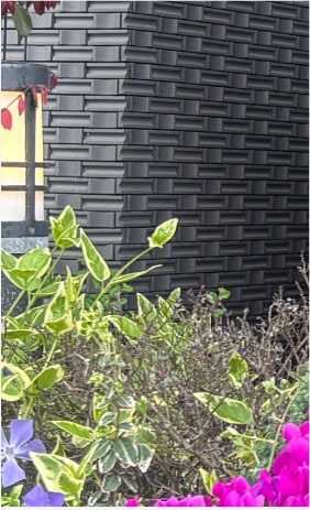 株式会社セラピット