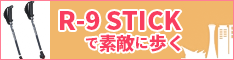 R9-STICK